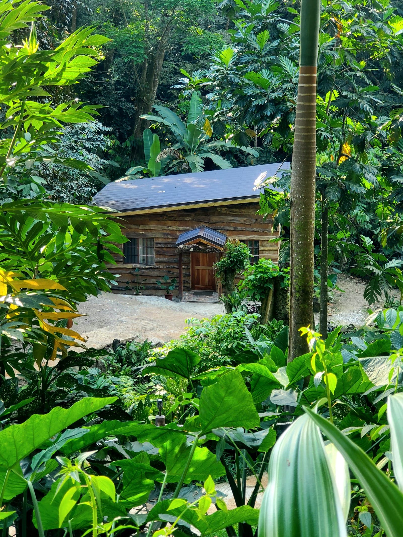 Garden path through the property